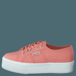 2790 Acotw Linea Rose Lobster