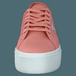 2790 Acotw Linea Rose Lobster