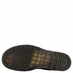 2976 Black Ambassador