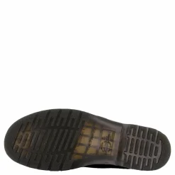 1461 Black Ambassador