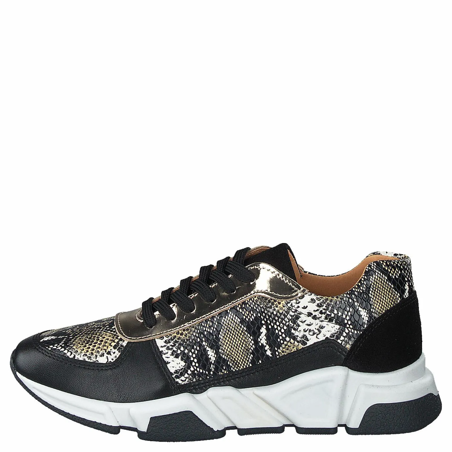 14261-833 Black/snake