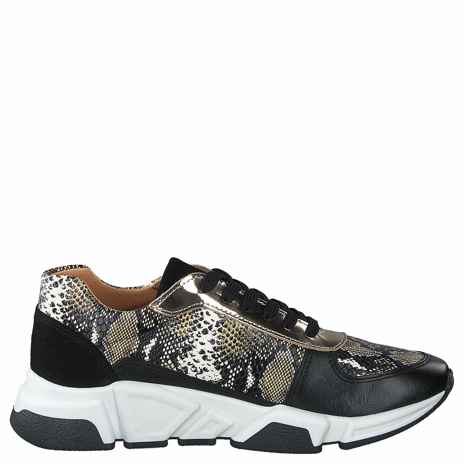 14261-833 Black/snake