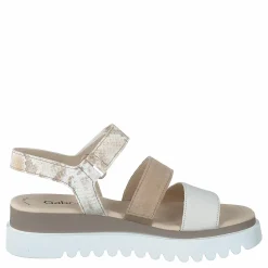 64.610-12 Camelmulti