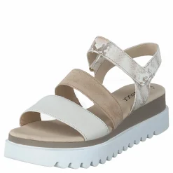 64.610-12 Camelmulti