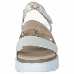 64.610-12 Camelmulti