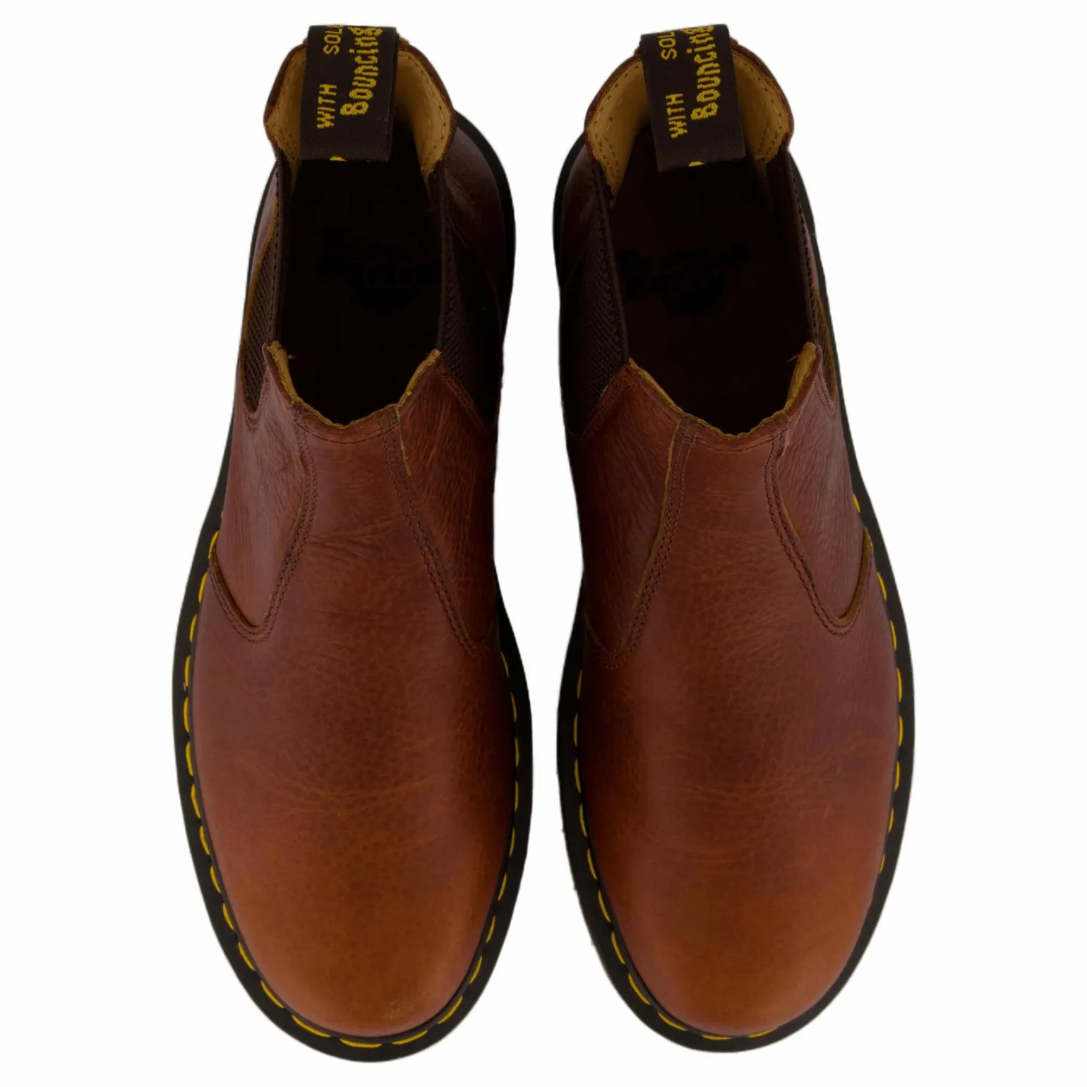 2976 Cashew Ambassador