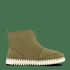 10 Tulip6071 Deep Olive