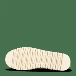 10 Tulip6071 Deep Olive