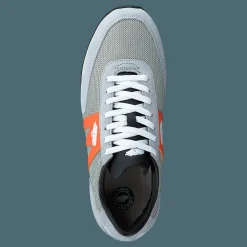 Albatross Dawn Blue / Carrot