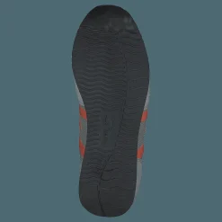 Albatross Dawn Blue / Carrot