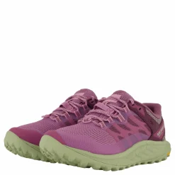 Antora 3 Gtx Fondant/willow