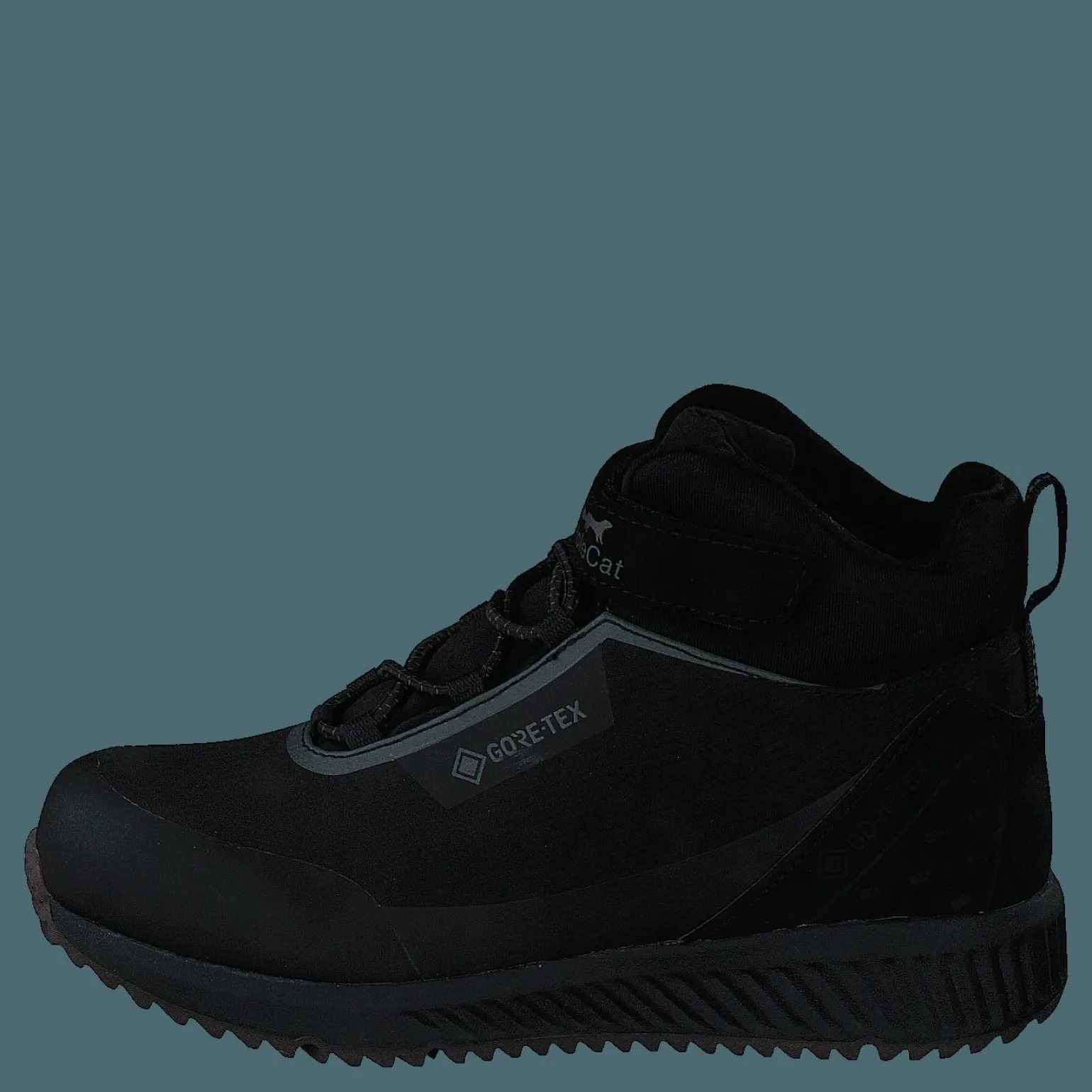 Arena Jr Calgary Gtx Black