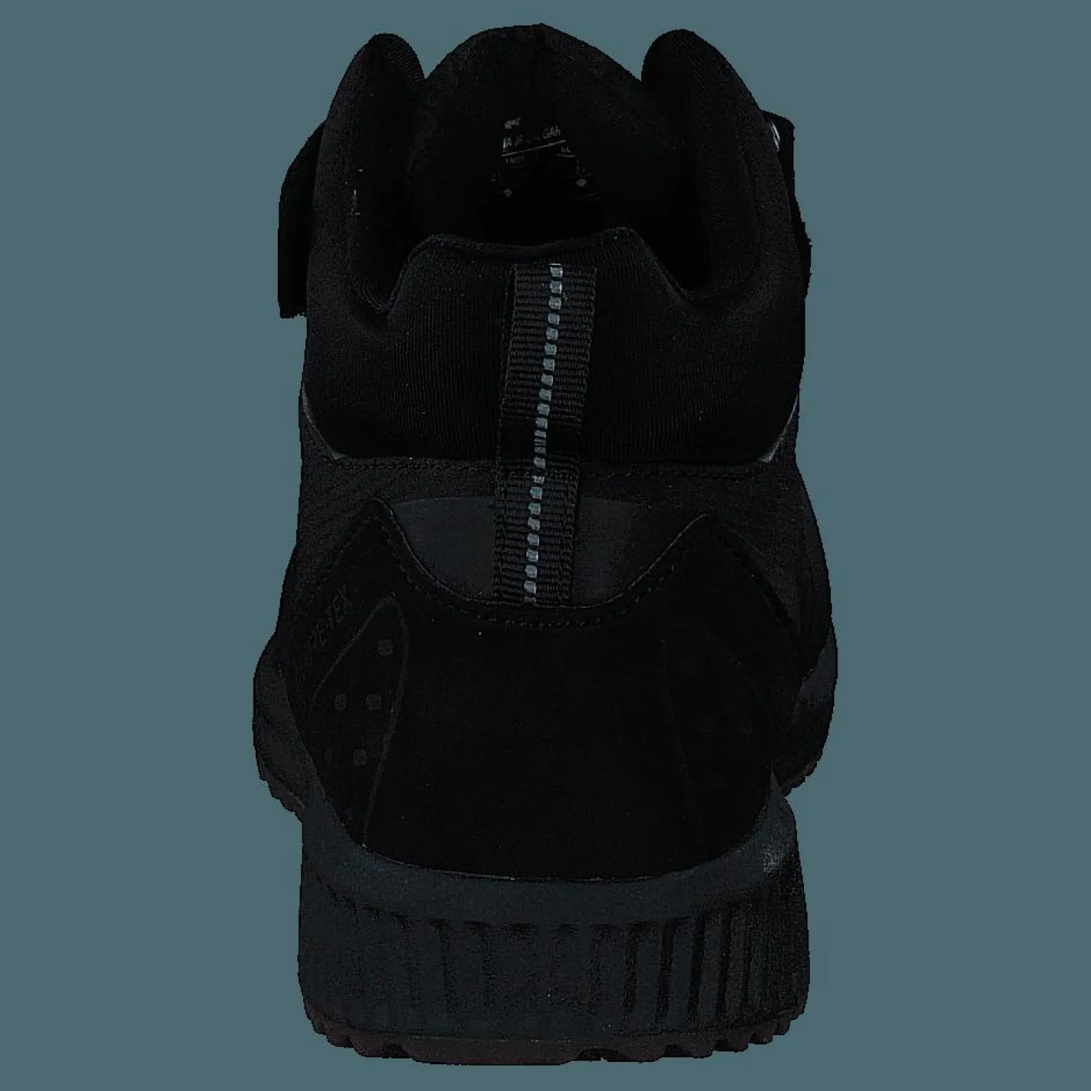 Arena Jr Calgary Gtx Black