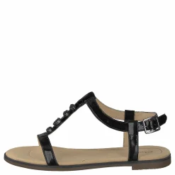 Bay Blossom Black Pat