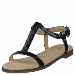 Bay Blossom Black Pat