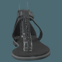 Bay Poppy Black Interest