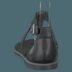 Bay Poppy Black Interest