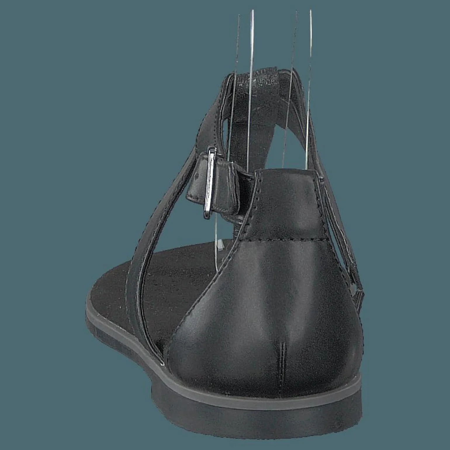 Bay Poppy Black Interest