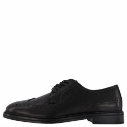 Bidford Low Lace Shoe Black