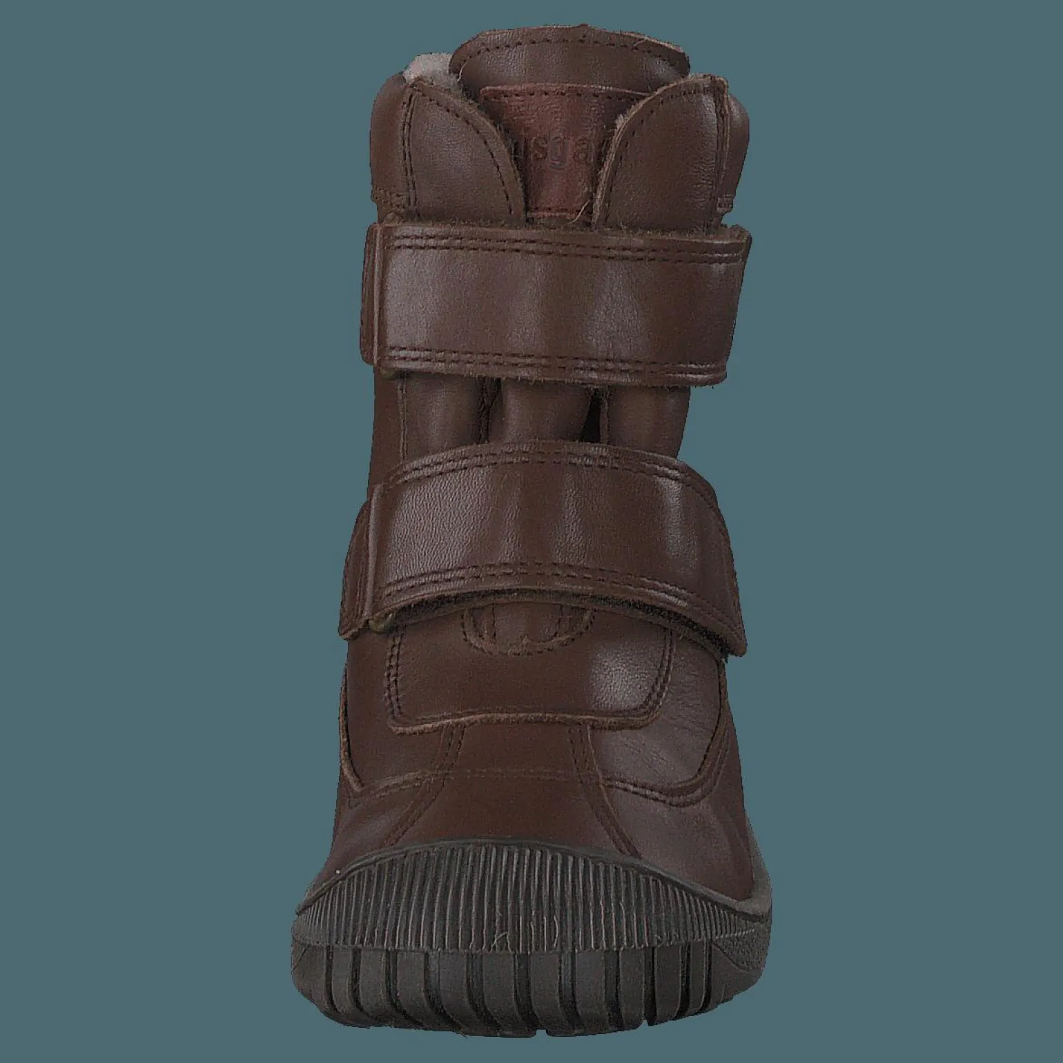 Bisgaard Ellis Brown