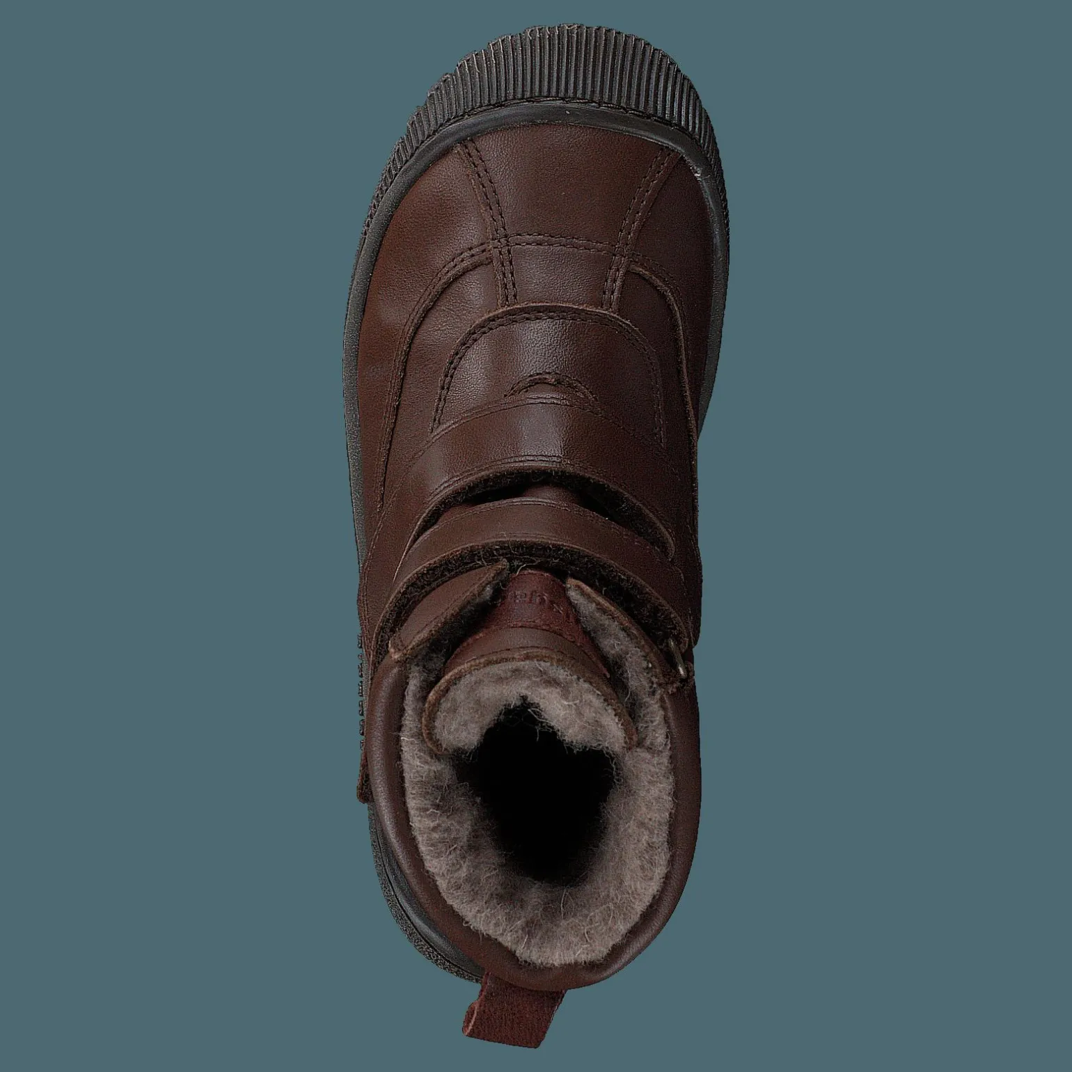 Bisgaard Ellis Brown