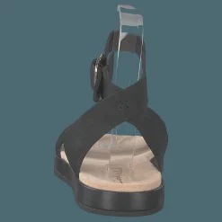 Botanic Ivy Black Leather