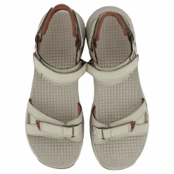 Cedrus Convert Brich/burlwood