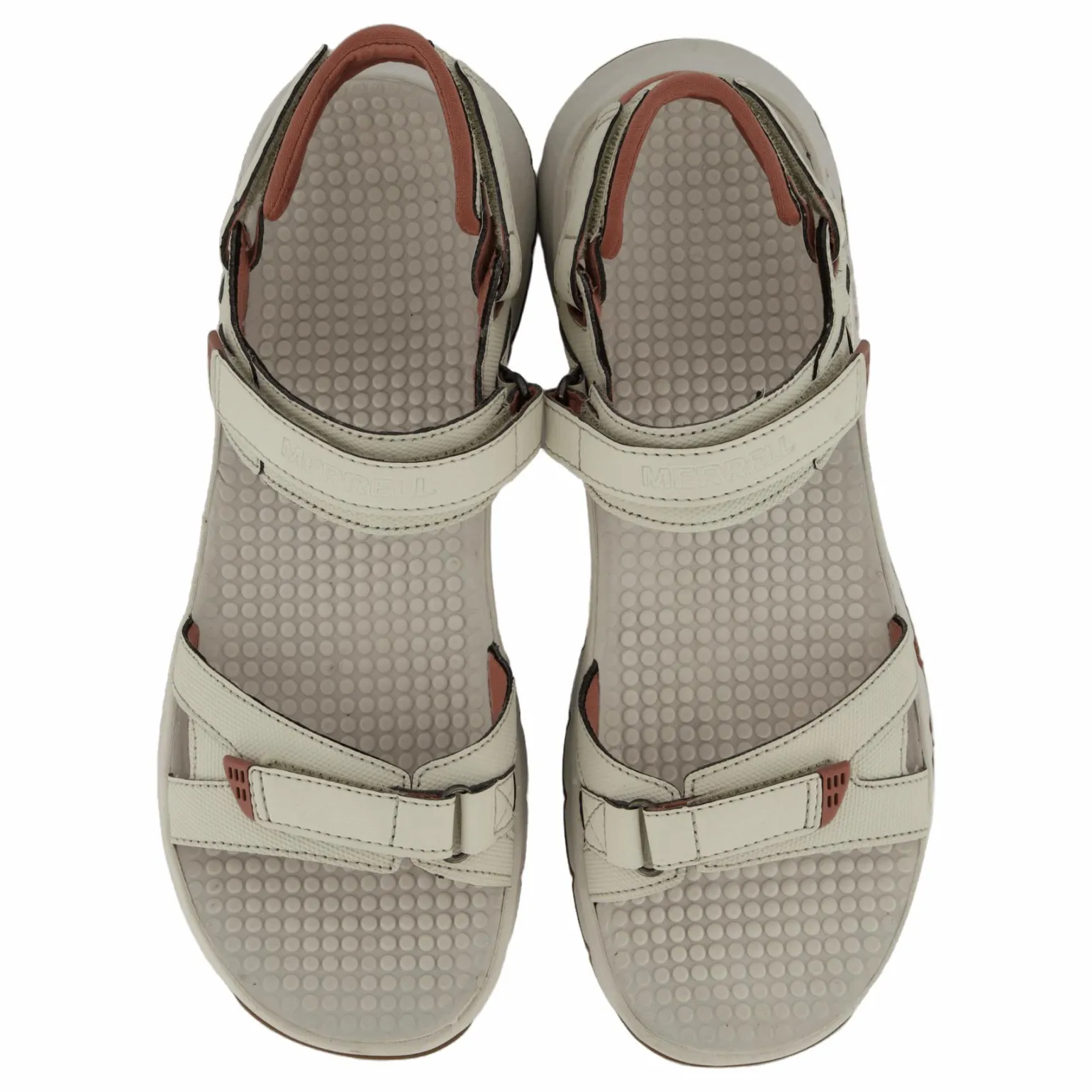 Cedrus Convert Brich/burlwood