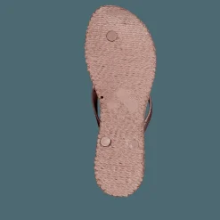 Cheerful01 Misty Rose