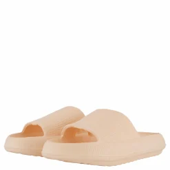 Chunky Slipper Coral