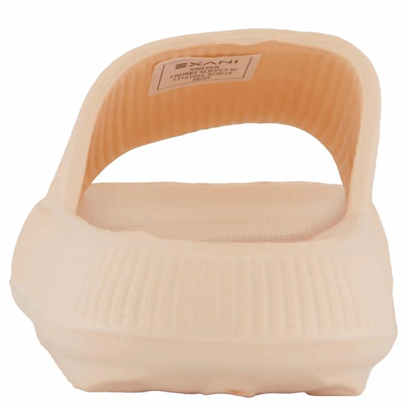 Chunky Slipper Coral