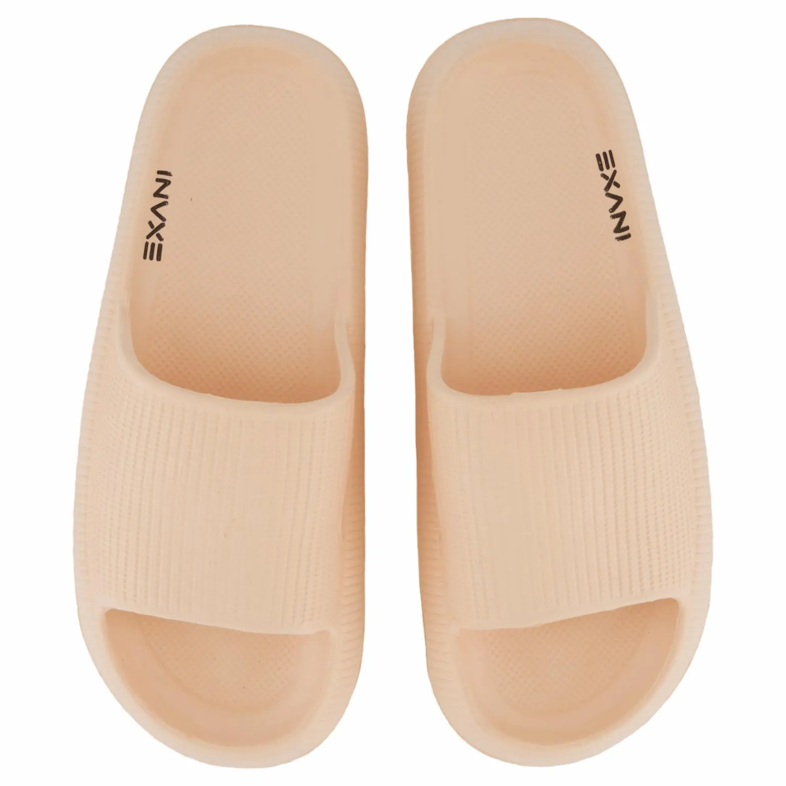 Chunky Slipper Coral