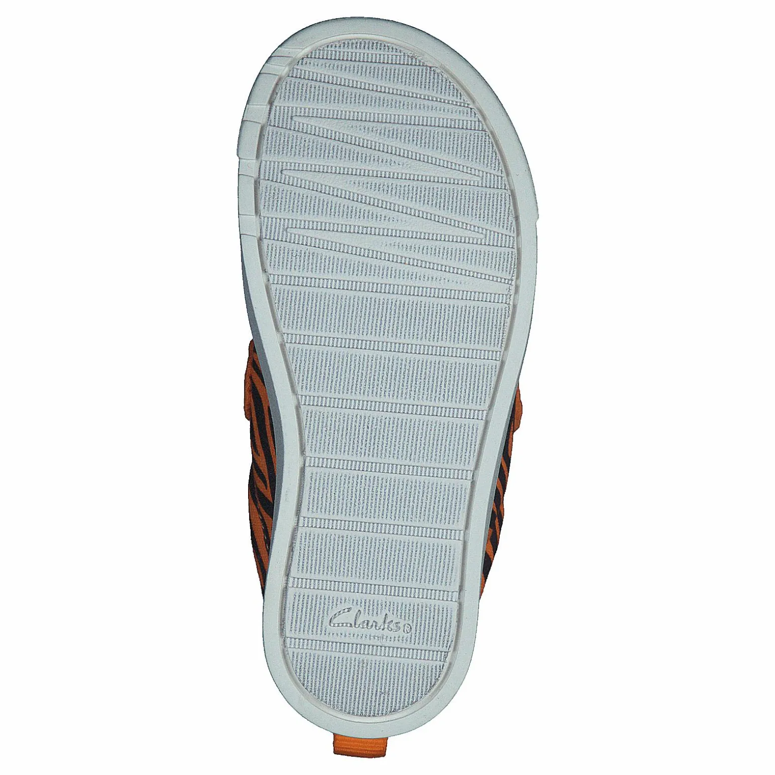 City Bright T Tiger Print