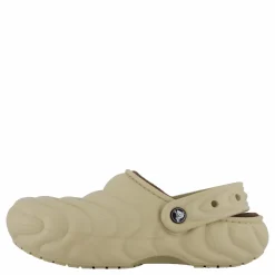 Classic Lined Overpuff Clog Moth