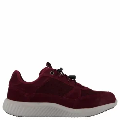 Credo Toronto Gtx Bordo
