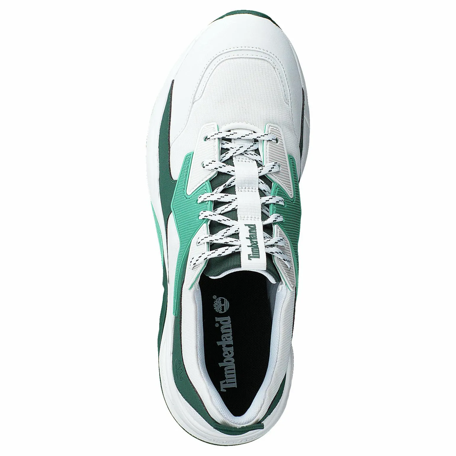 Delphiville F/l Sneaker Neptune Green