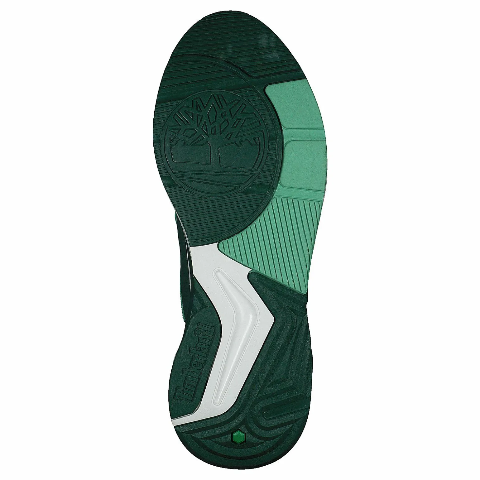 Delphiville F/l Sneaker Neptune Green