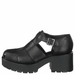 Dioon 4747-001-20 Black