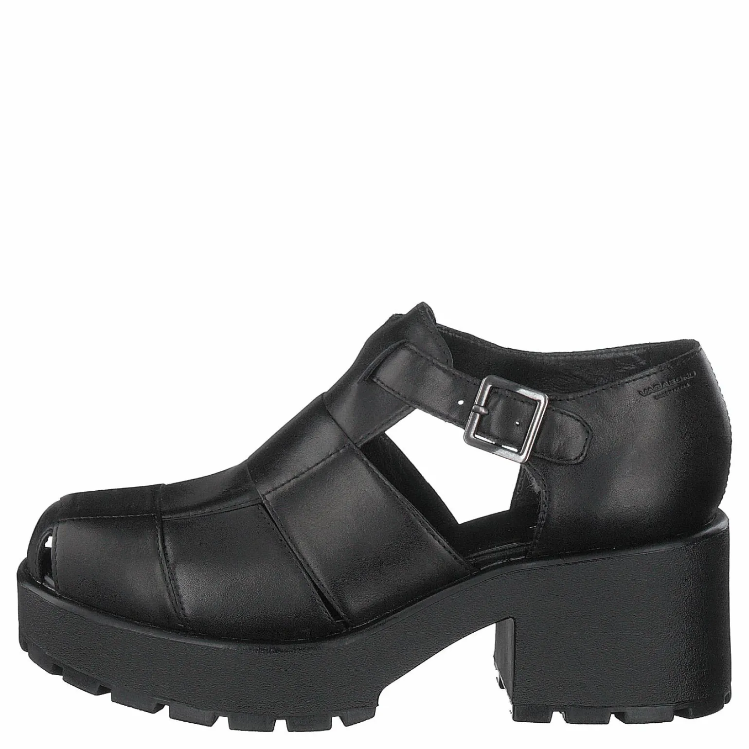 Dioon 4747-001-20 Black