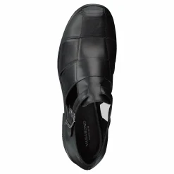 Dioon 4747-001-20 Black