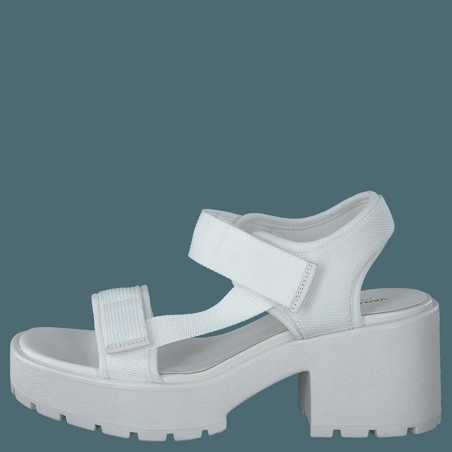 Dioon 4947-080-01 White