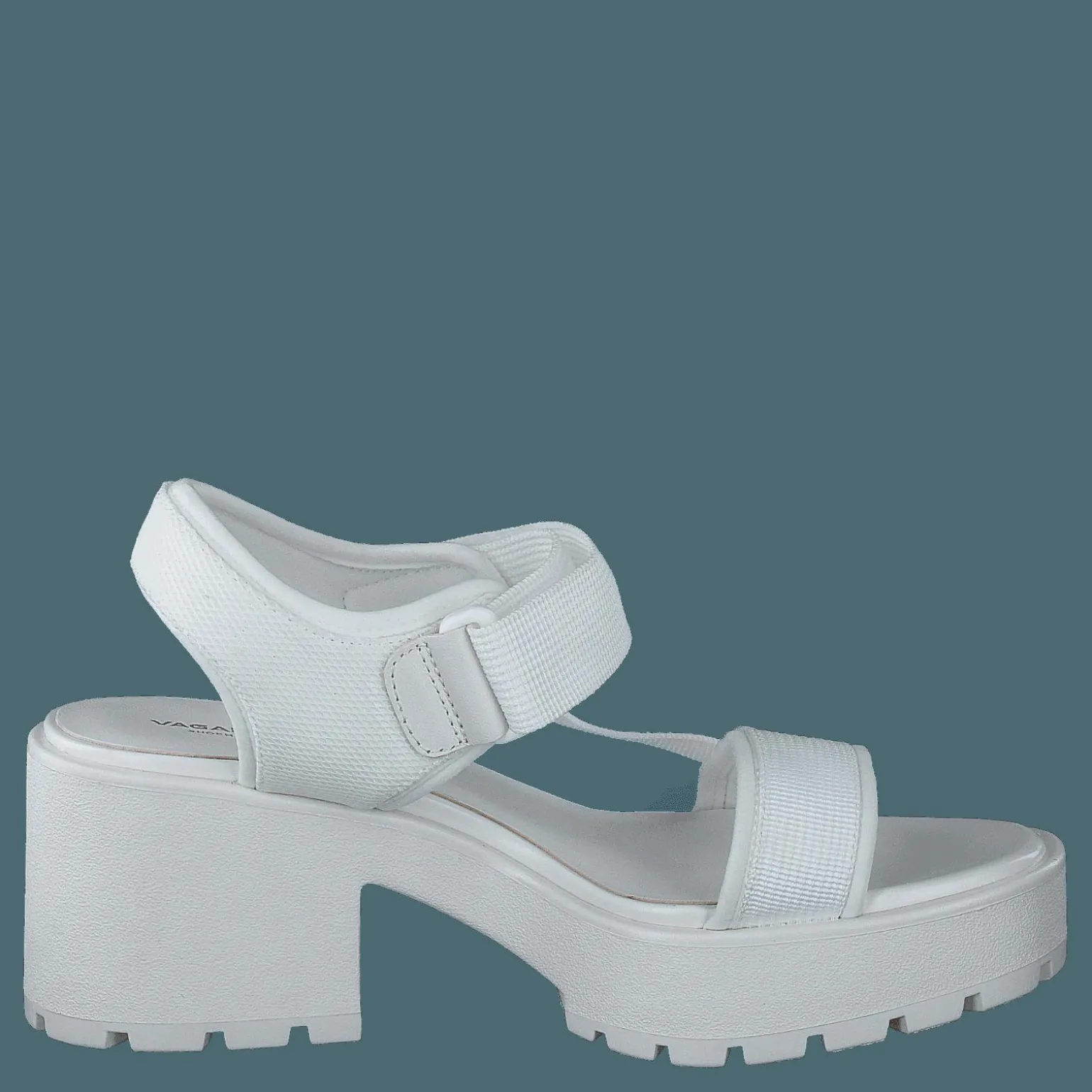 Dioon 4947-080-01 White
