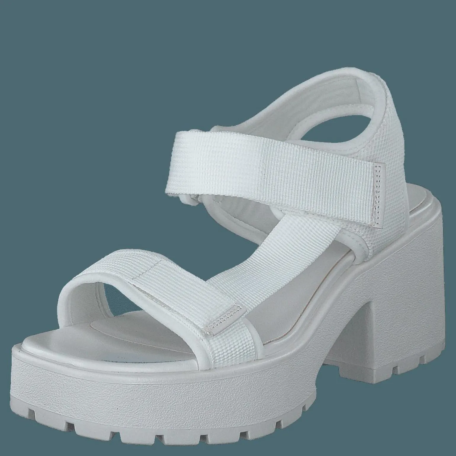 Dioon 4947-080-01 White