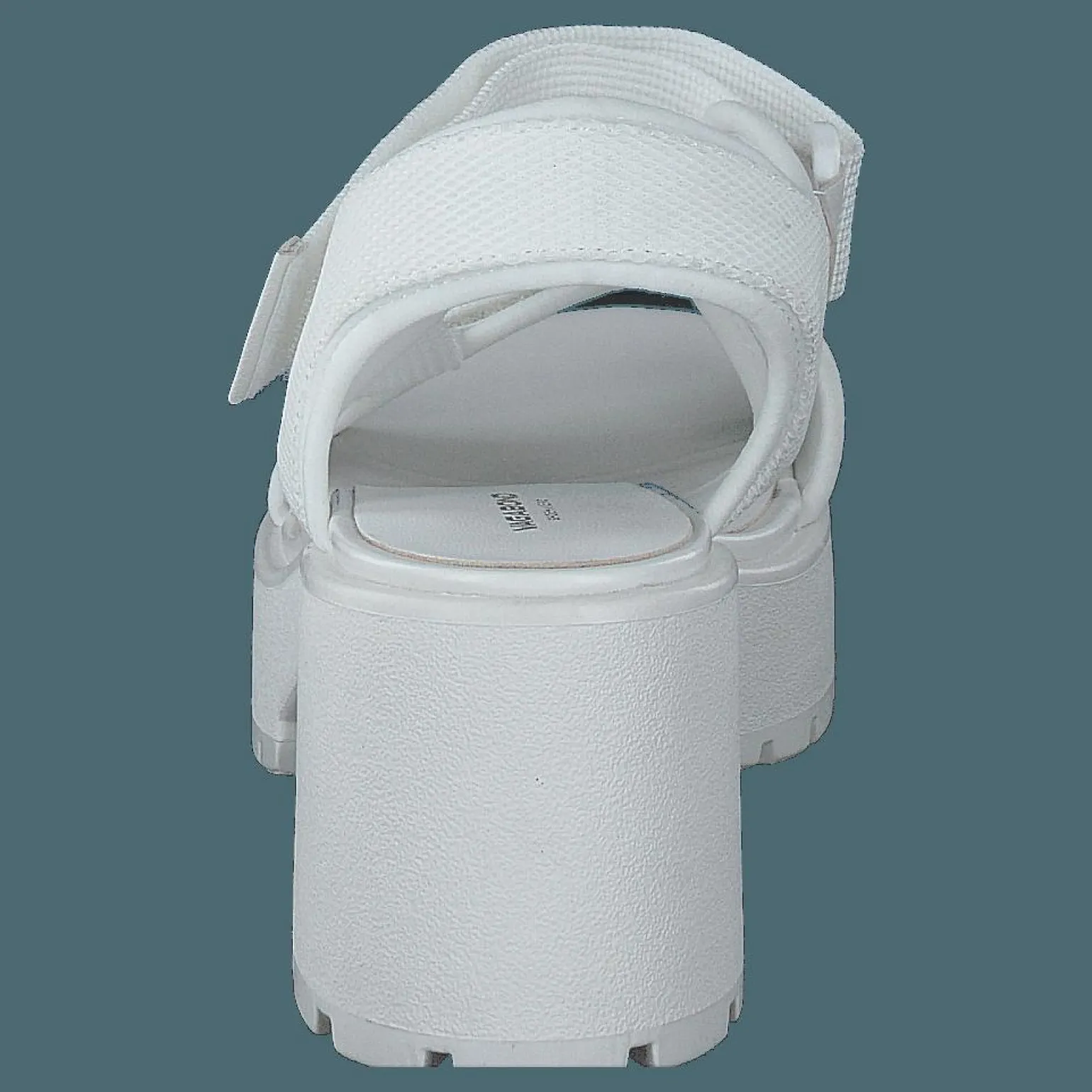 Dioon 4947-080-01 White