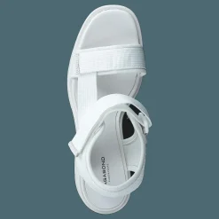 Dioon 4947-080-01 White