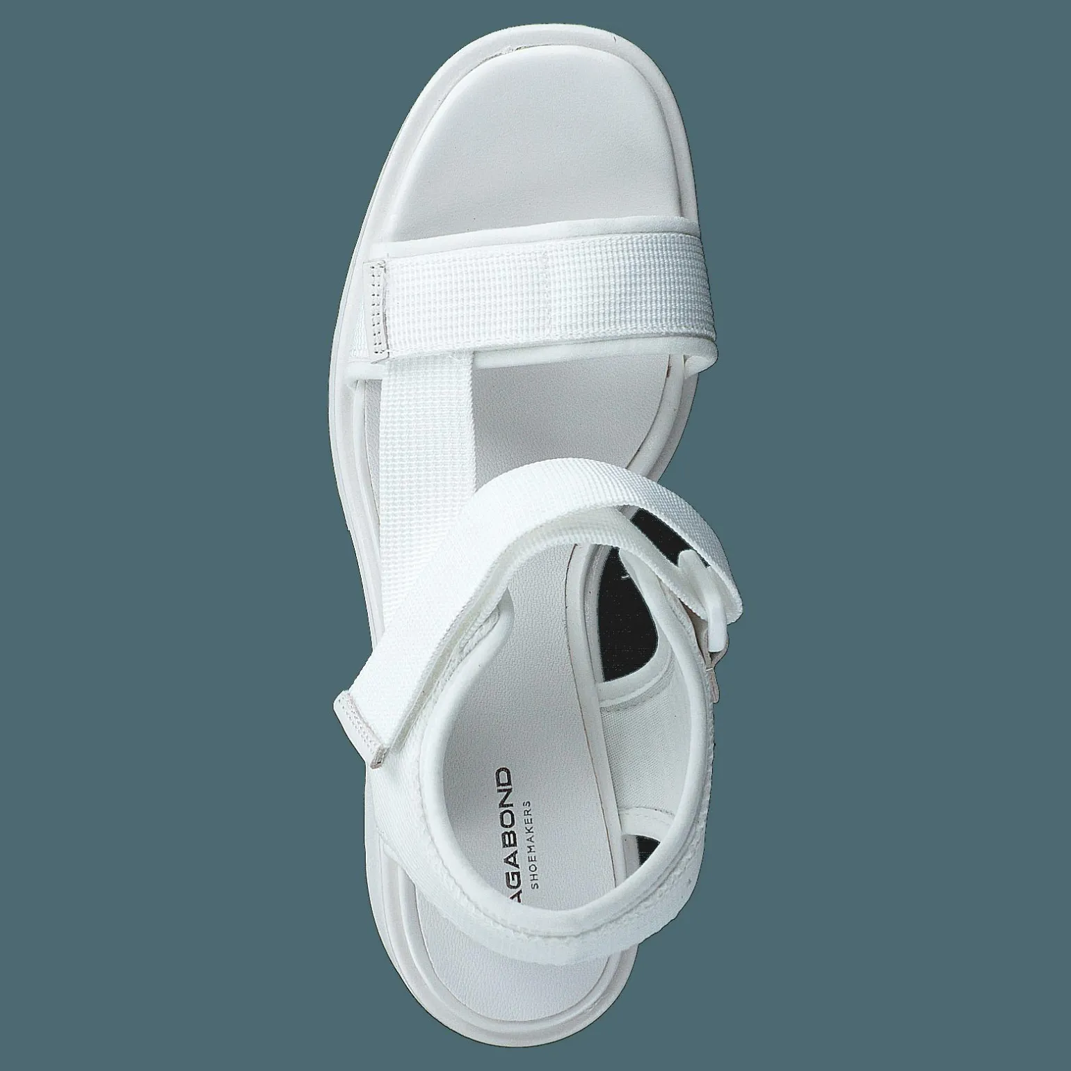 Dioon 4947-080-01 White