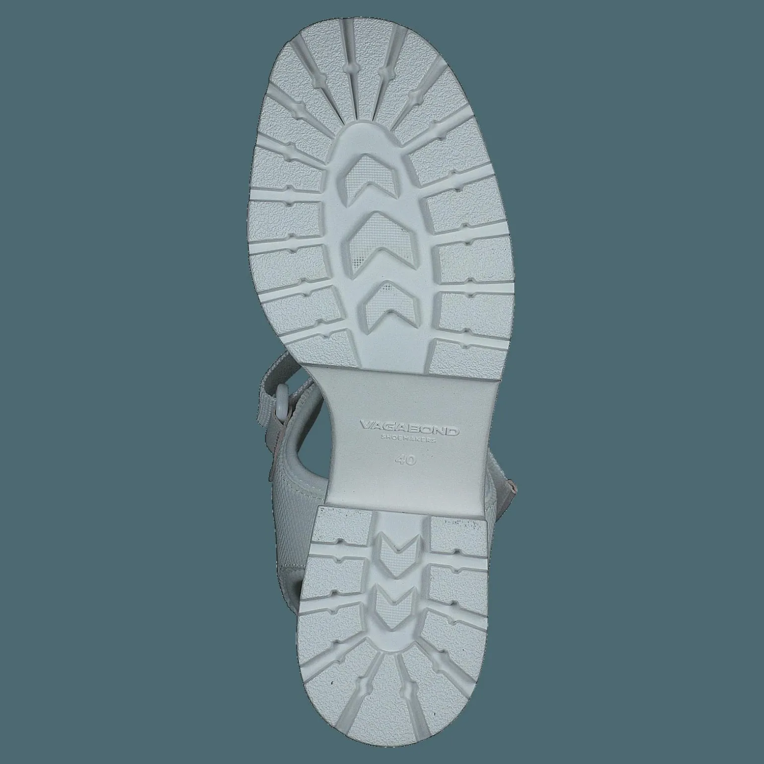 Dioon 4947-080-01 White