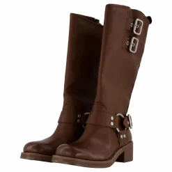 Eastern Boot Brown