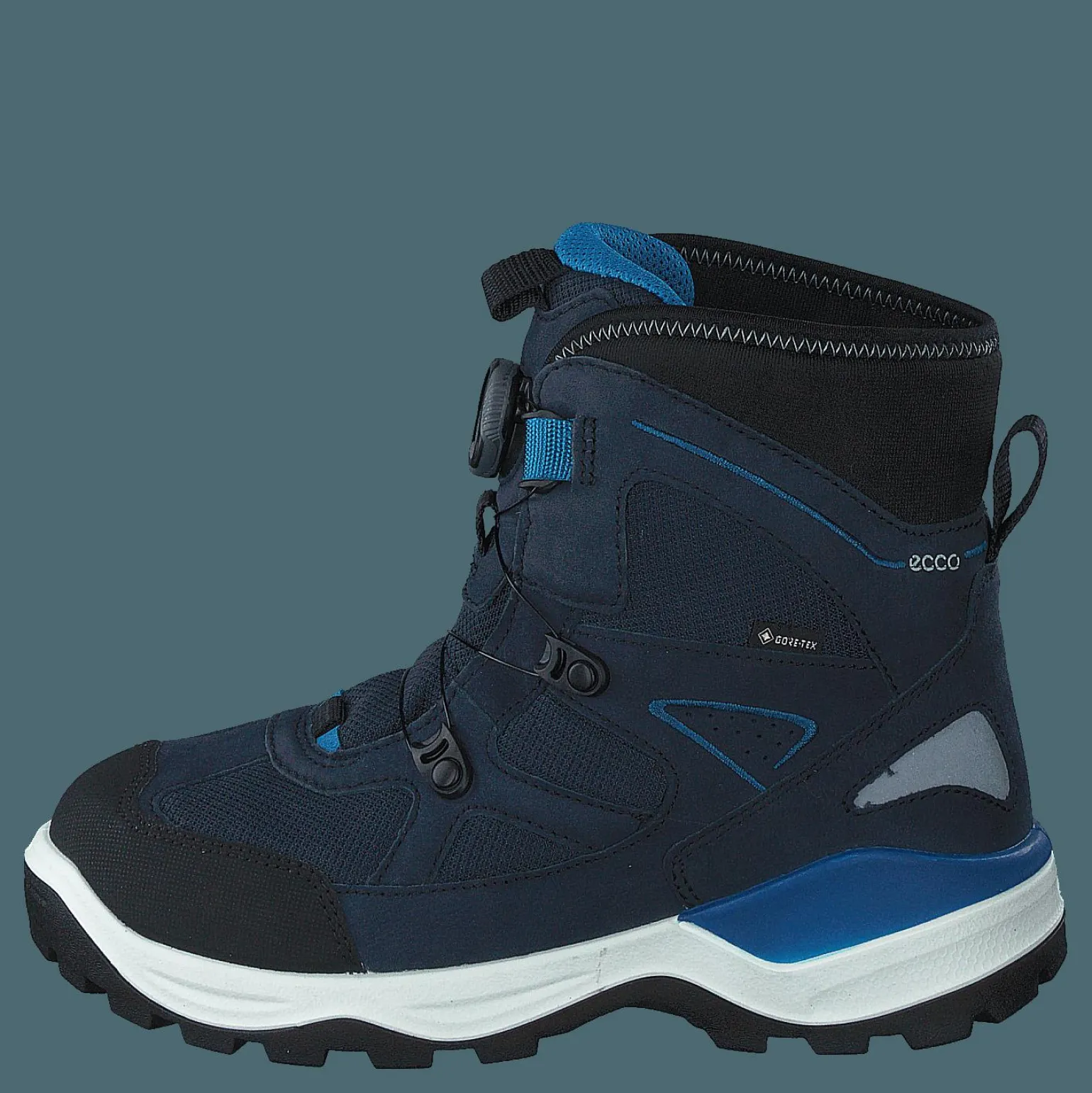 Ecco Snow Mountain Black/night Sky