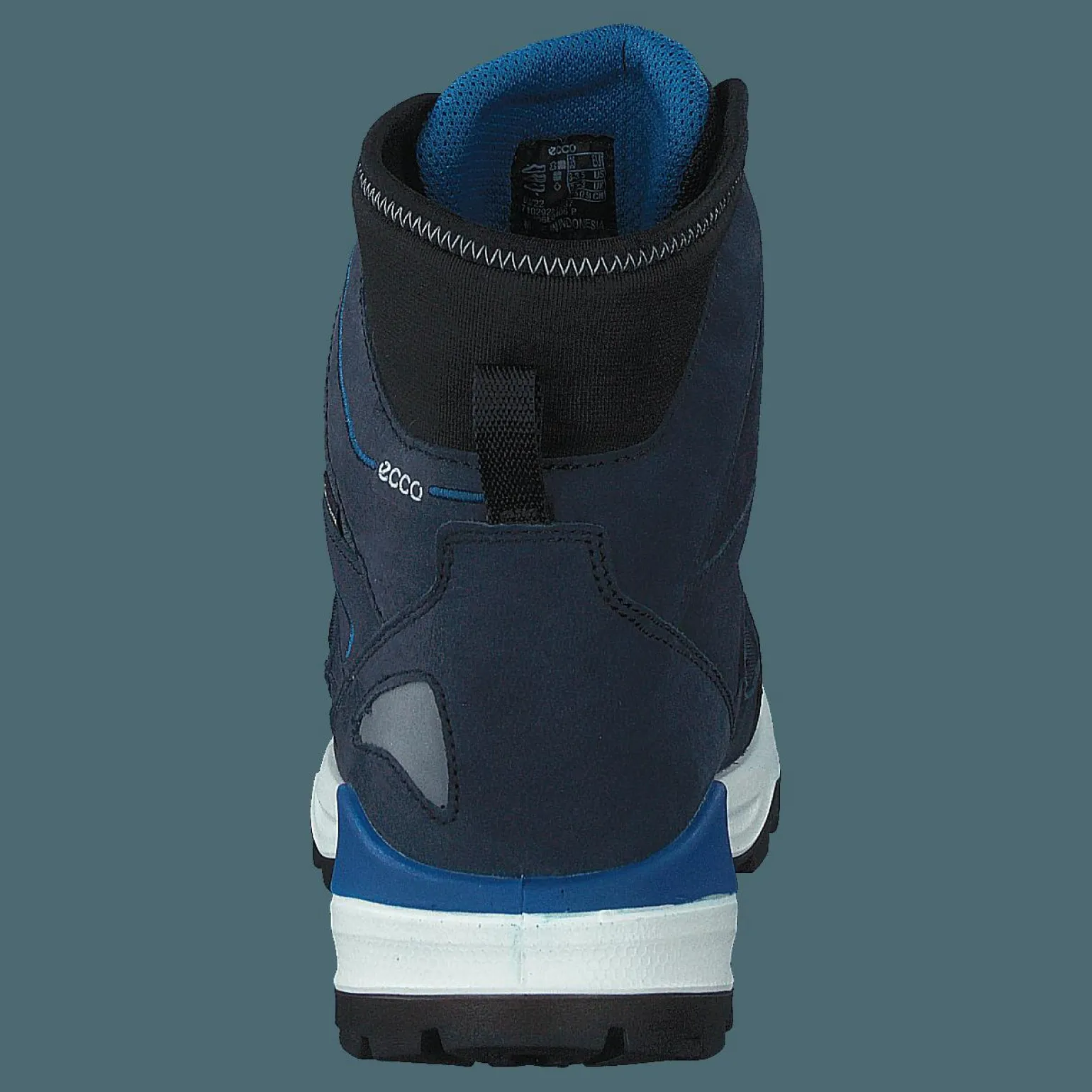 Ecco Snow Mountain Black/night Sky